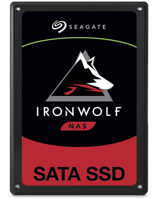 Seagate IronWolf 110 